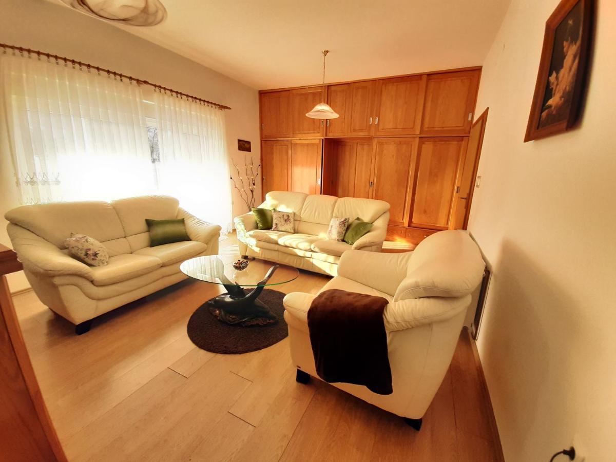 Apartment Gorska Vila Ogulin Exterior photo