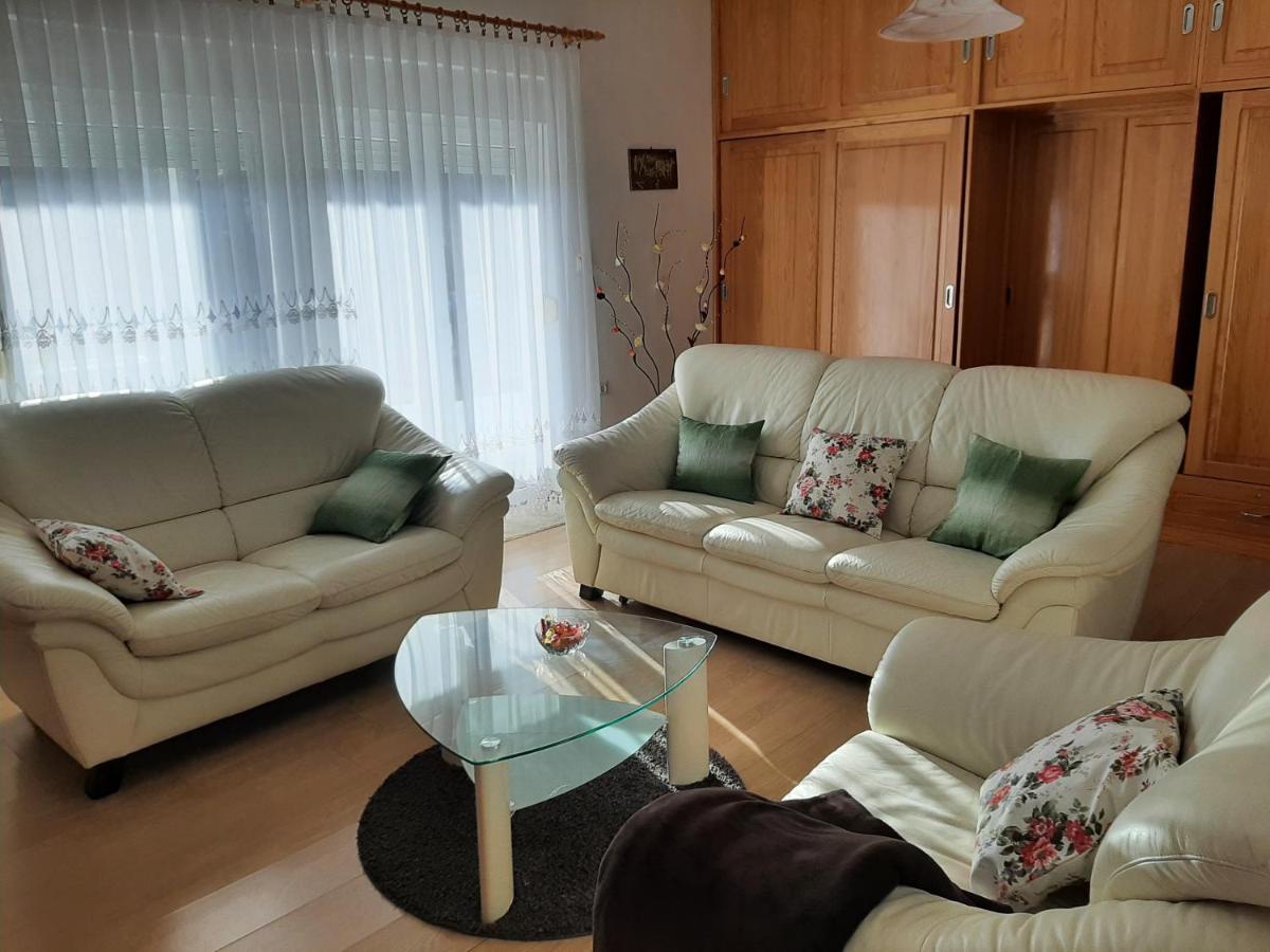 Apartment Gorska Vila Ogulin Exterior photo
