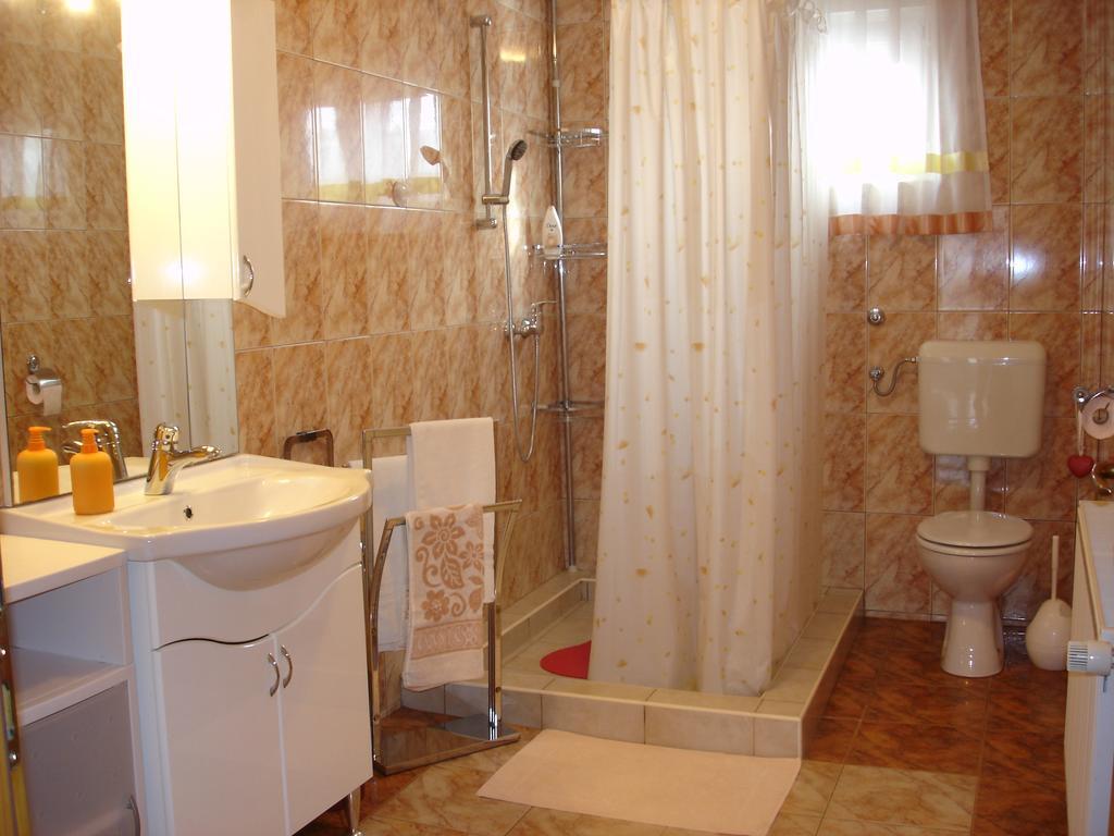 Apartment Gorska Vila Ogulin Exterior photo